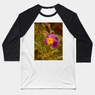 Wild Rose Baseball T-Shirt